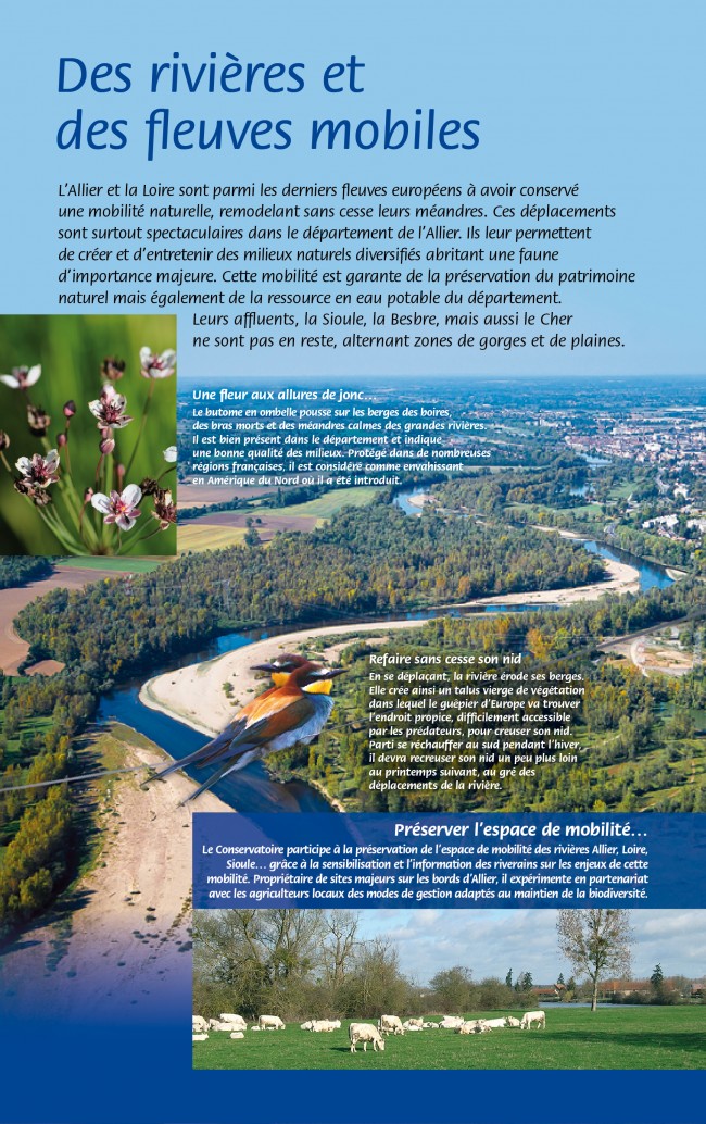 CEN Allier-rivières